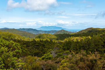 Fototapeta na wymiar Rainforest and Coastline of Great Barrier Island