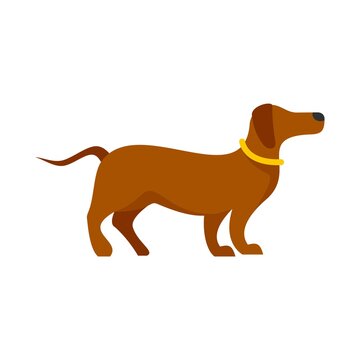 Sport dog training icon flat isolated vector