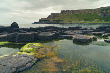 Giant's Causeway basalt rocks pattern in a beautiful summer day, Northern Ireland. The nature...