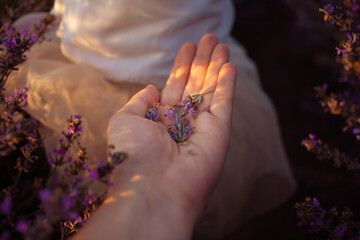Mother and daughter in a lavender field. Hands hold purple flowers. Love, happiness, pleasure,...