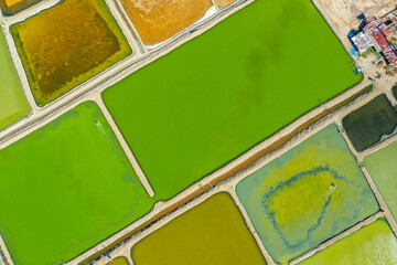 Phetchaburi Salt flats Naklua, farms and farmers collecting salt in Phetchaburi, Thailand