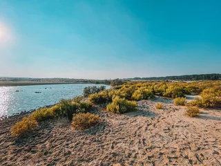 Foto op Canvas Dessert wild plants and nature   Spectacular Landscape View at Al Wathba Wetland Reserve in Abu Dhabi, UAE   coastal salt flat (sabkha) lakes © Makaty