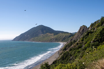Fototapeta premium Vista Outlook view in Oregon of Shore and Mountain with birds flying in the bright blue sky