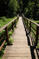 Obraz premium wooden bridge in the forest