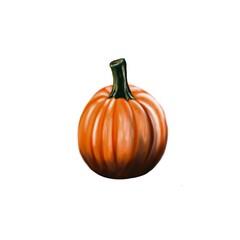 Single realistic pumpkin illustration 