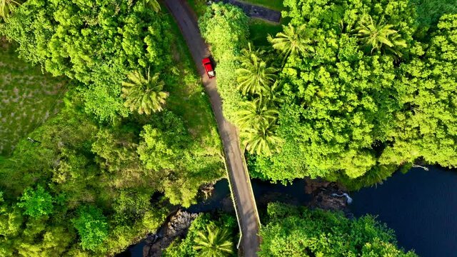 4K drone video tropical travel adventure landscape of a beautiful lush jungle with moving cars and a bridge.