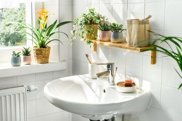 Modern white bathroom in eco-friendly sustainable style. Many green plants and shadows from...