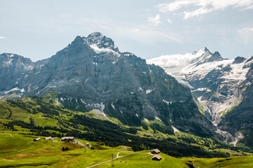 Grindelwald, Wetterhorn, Grosse Scheidegg, Schreckhorn, Oberläger, Schreckfeld, First, Oberer Grindelwaldgletscher, Berner Oberland, Alpen, Wanderweg, Höhenweg, Sommer, Schweiz