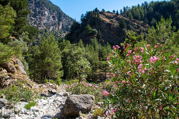 The Samaria Gorge on the Greek island of Crete