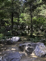 Naklejka na ściany i meble Rocks, stones, and trees in lush forest park garden