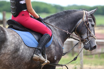 Old leather saddle with stirrups for show jumping race. Equestrian sport event background