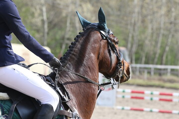 Old leather saddle with stirrups for show jumping race. Equestrian sport event background