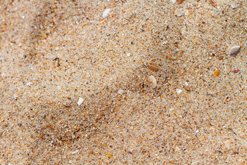 Top view of multicolored grains of sand interspersed with seashells abstract background