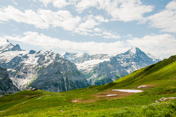 Grindelwald, Eiger, Eigernordwand, Schreckhorn, Kleine Scheidegg, Lauberhorn, Grosse Scheidegg, Bergstrasse, Wanderweg, First, Berner Oberland, Alpen, Sommer, Schweiz