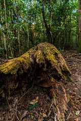 Trails in Miami, Florida