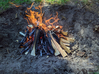 bonfire of new firewood burns during the daytime in summer in nature.