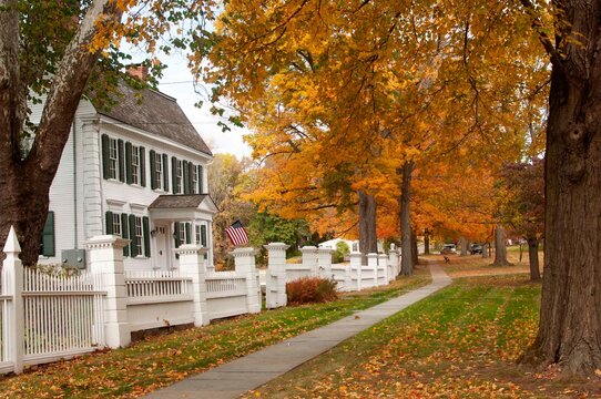 Autumn In The New England