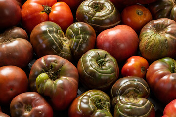 Organic tomatoes at farming market displayed for sale. Organic farming or gardening concept.