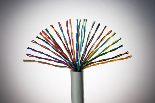 Twisted pair cable. Many twisted colored wires