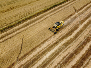 Huge yellow tractor working on a cereal big camp of intensive farming example, agricultural and farmer people, drone view.