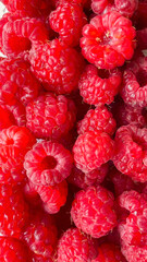 Raspberries on a white background, isolated objects, green leaves, red summer berries, background for the text