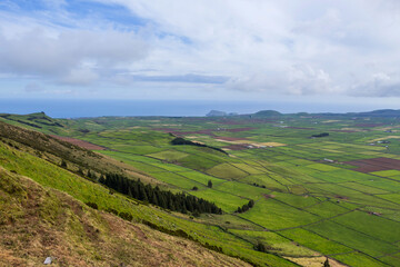 Fototapeta na wymiar fields in the Terceira island