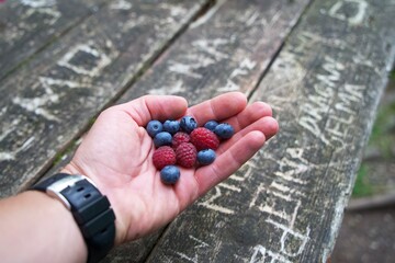 In the palm of your hand are raspberries and blueberries.