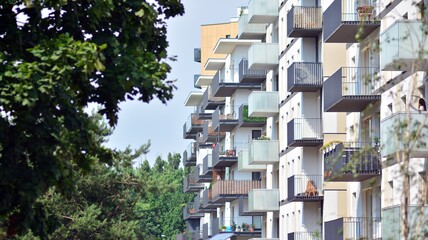 Eco architecture. Green tree and apartment building. The harmony of nature and modernity.