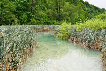 Wonderful view of lakes in the Plitvice Lakes National Park, Croatia at summer season