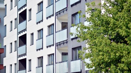 Eco architecture. Green tree and apartment building. The harmony of nature and modernity.
