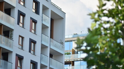 Eco architecture. Green tree and apartment building. The harmony of nature and modernity.