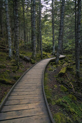 parque natural de agues tortes (lago de sant maurici)