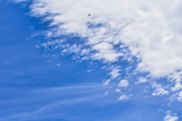 clouds in the sky