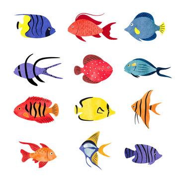 Tropical fish vector set. Coral reef watercolor collection of colorful sea fish isolated on white