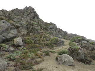 Rocas de Punta de Tralca
Chile