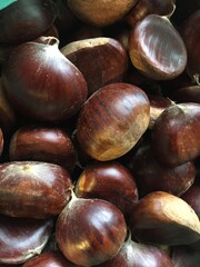raw chestnuts
