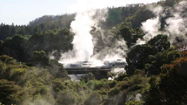 Te Puia geothermal valley - New Zealand, North Island
