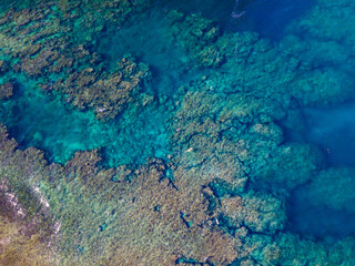 Fototapeta na wymiar ハートの形の珊瑚礁