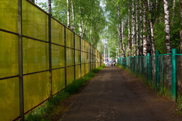 The road between the fences.