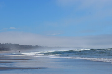Foggy Oregon Beach