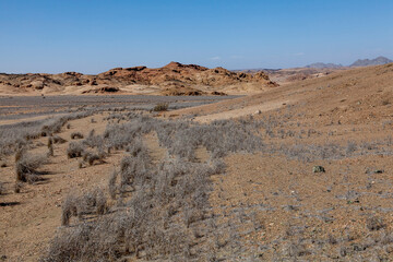 Fototapeta na wymiar Namib-Naukluft-Nationalpark bei Swakopmund, Namibia