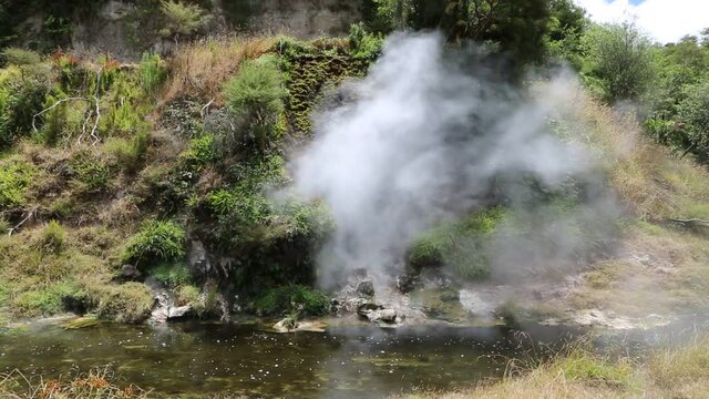 Hot spring in Waimangu Valley - New Zealand, North Island