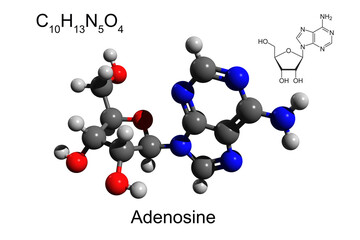 Chemical formula, skeletal formula, and 3D ball-and-stick model of nucleoside adenosine, white background