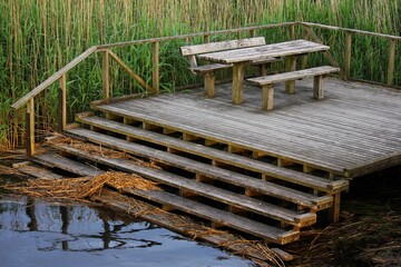 Obraz premium wooden bench and steps surrounded by rush next to a stream
