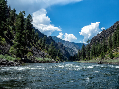 Main Salmon River