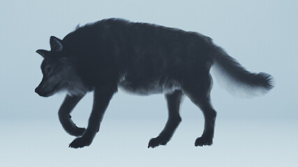 3D illustration of a wolf walking with caution.