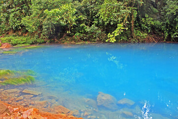 Naklejka premium Remanso Río Celeste, Costa Rica