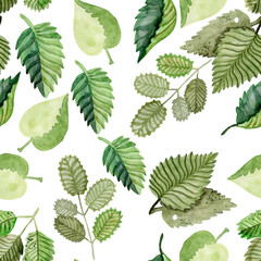 Seamless watercolor pattern with green branches and leafs on white background. Herbs for cosmetics, package, textile, cards