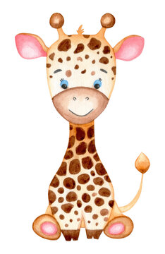 Watercolor painting of baby giraffe Isolated  on white background