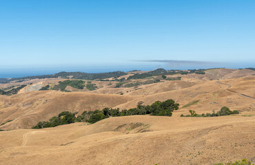 Fototapeta na wymiar Cambria, CA, USA - June 9, 2021: View on blue ocean from Back country hills used for ranching under blue sky. Dry grass with patches of green trees. 